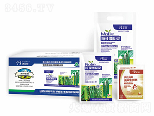 ���L(zh��ng)�����`-嫰�����