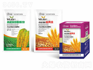 С���F�����S��-嫰�����