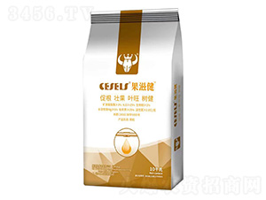 ����ֲ��ˮ�ܷ���-���̽�-�W���ط�