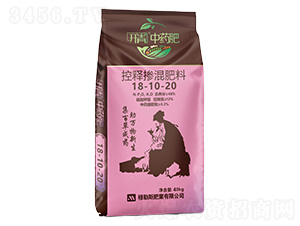 ��ጓ������18-10-20-�_(k��i)����ˎ��-����˹