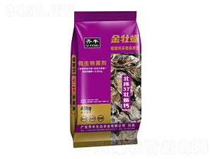 ̼���}��΢������΢�������-��ĵϠ-�R�S�r�I(y��)