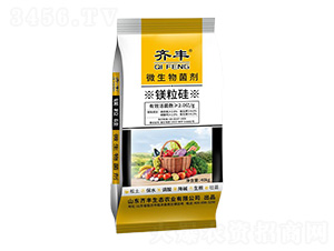 ΢�������-�V����-�R�S�r�I(y��)