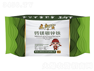 �}�V���\�F-���ɹ�