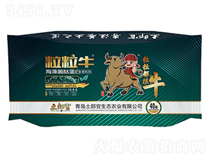 ��������������ĵ���-���ɹ�