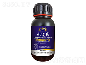 �����~(y��)�����~(y��)�������Һ-���ɹ�