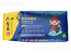 �����~��΢�������-���ɹ�