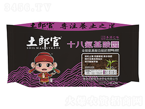 ʮ�˰����ᣨȫ�ܰ����Ṧ�ܷʣ�-���ɹ�