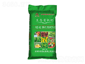 ���B(t��i)�ЙC(j��)��-���~��-���f�ʘI(y��)