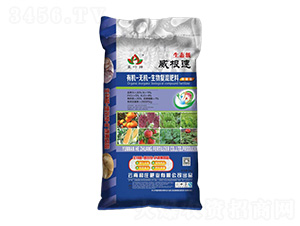 �ЙC-�o�C�����(f��)�����11-5-4-������-���f�ʘI(y��)