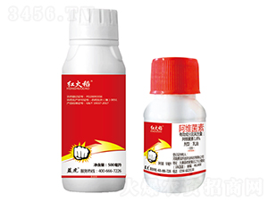 1.8%���S��������-�t��-�{(l��n)��-�¹چ̵�