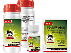 20�|PIB����x(ch��ng)���Ͷ���w�����Ҹ���-�Ҹ�-�{(l��n)��-�¹چ̵�