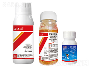 6%(li��n)�ա���x(ch��ng)��΢�鄩-С����+�{(l��n)�������@-�{(l��n)��-�¹چ̵�