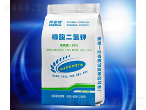 ��������10KG-��{