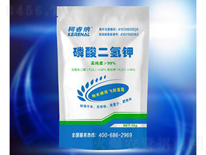 ��������1KG-��{