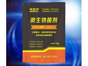 600�|����-��{