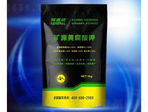 �VԴ�S�����-��{