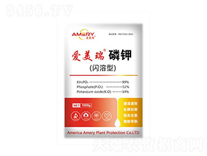 �W���͐�(��i)�������-��(��i)����