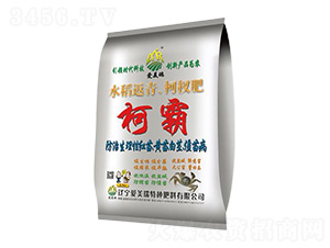 ˮ�������辷�-�°�-������