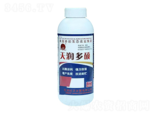 �읙��T�_ʩ��-�V�|�읙