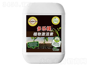 ֲ�Ｄ����-������