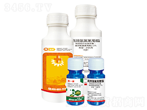 2.5%��Ч�ȷ������ˮ�鄩-Цһ��-�{��-�¹چ̵�