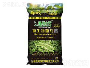 ���r(sh��)��΢�������-�r(sh��)��-�³��