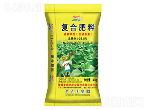 ������͏�(f��)�Ϸ�11-5-9-�����S