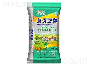 ��(f��)�����19-8-8-�����S