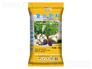 �Qɣ���Ï�(f��)�Ϸ���19-8-8-����(r��n)�S