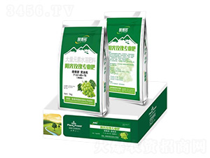 �(y��ng)��õ�匣�ô���Ԫ��ˮ�ܷʷ���7-12-40+TE-��?sh��)°? style=