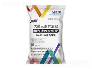 �(y��ng)��õ�匣�ô���Ԫ��ˮ�ܷ���10-52-8+��������-��?sh��)°? style=