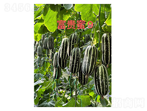 ��ϷN��-���F��9-���S�r(n��ng)�I(y��)