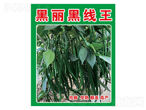 �����N��-�����ھ���-���S�r(n��ng)�I(y��)