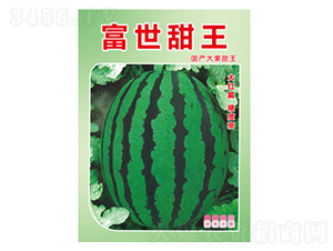 ���ϷN��-��������-���S�r(n��ng)�I(y��)