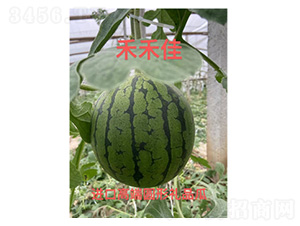 ���ϷN��-�̺̼�-���S�r(n��ng)�I(y��)