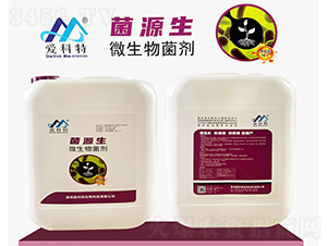 ��Դ��΢�������-�ۿ���