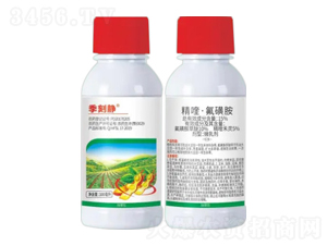 15%��ୡ����ǰ�-�����o-�Z�����r�I(y��)