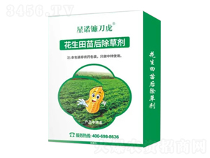 �����������݄�-���Z砵���-�Z�����r�I(y��)