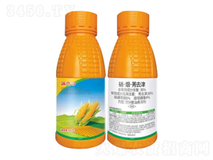 36%��������ݬȥ��ɷ�ɢ�͑Ҹ���-�M�܌�-�Z�����r�I(y��)