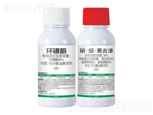 8%�h(hu��n)��ͪ+36%��������ݬȥ��-��e��-�Z�����r�I(y��)