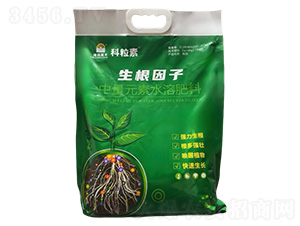 ����Ԫ��ˮ�ܷ���-��������-��ɭ�κ�