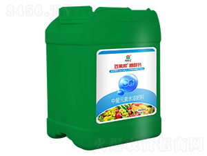 �Ǵ��}-����Ԫ��ˮ�ܷ���-��ɭ�κ�