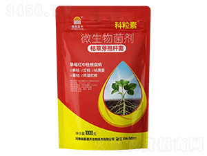 �ݲ�ѿ�ߗU��΢�������-��ɭ�κ�