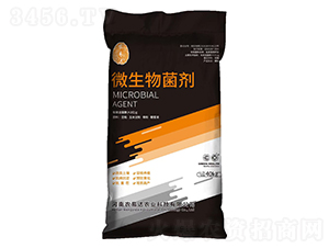 ΢�������-�r(n��ng)���_