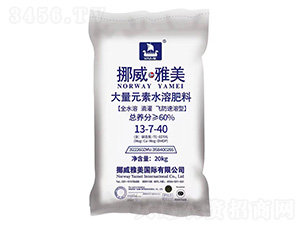 ����Ԫ��ˮ�ܷ���13-7-40-Ų������-����