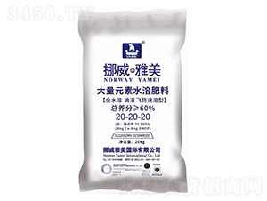 ����Ԫ��ˮ�ܷ���20-20-20-Ų������-����