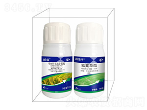 ���S�M��-����¡����