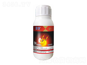 �x�E�ͻ�����-����-����¡����