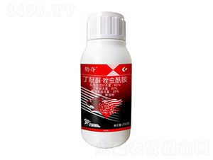 40%�����塤���x����-�݊Z-����¡����