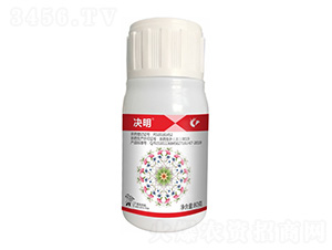 24%���x��������-�Q��-����¡����